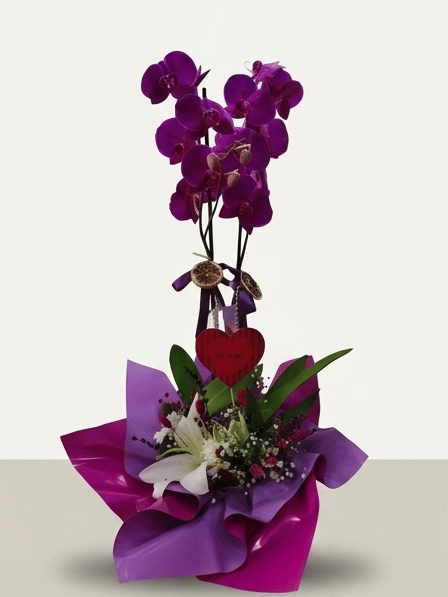 Mor Phalaenopsis orkide, beyaz lilyum, cipso ve fuşya-mor ambalajla hazırlanan saksı aranjmanının önden görünümü.