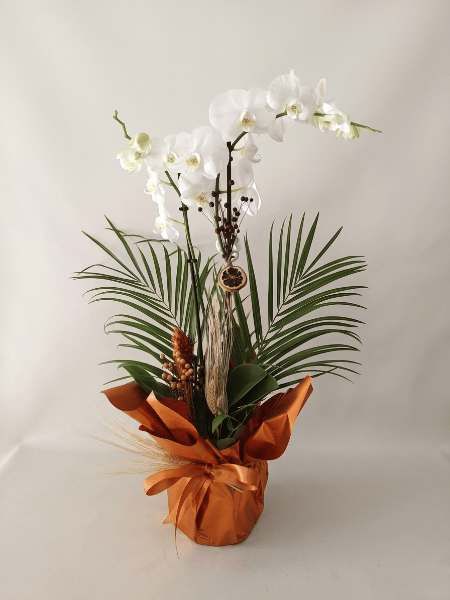 Turuncu ambalaj içerisinde iki dallı beyaz Phalaenopsis orkide, kuru portakal dilimi ve yeşil yapraklarla hazırlanmış saksı aranjmanının önden görünümü.
